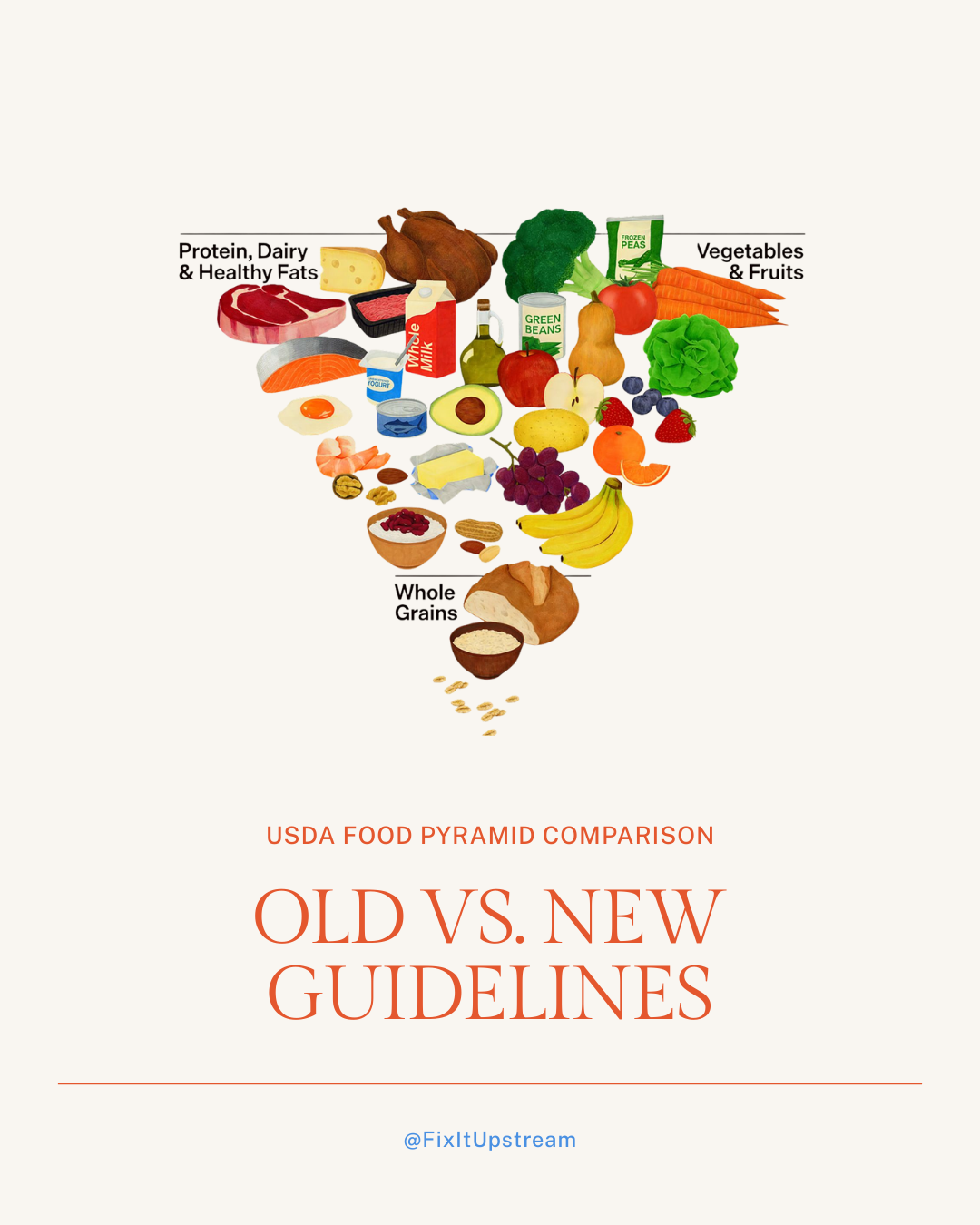 The New USDA Food Pyramid:A Complete Breakdown